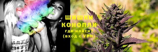 шишки Балахна