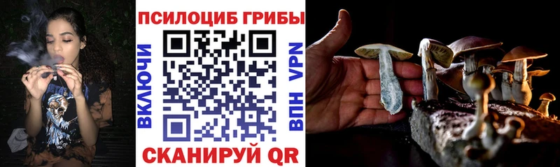 наркота Бирюч Галлюциногенные грибы Cubensis